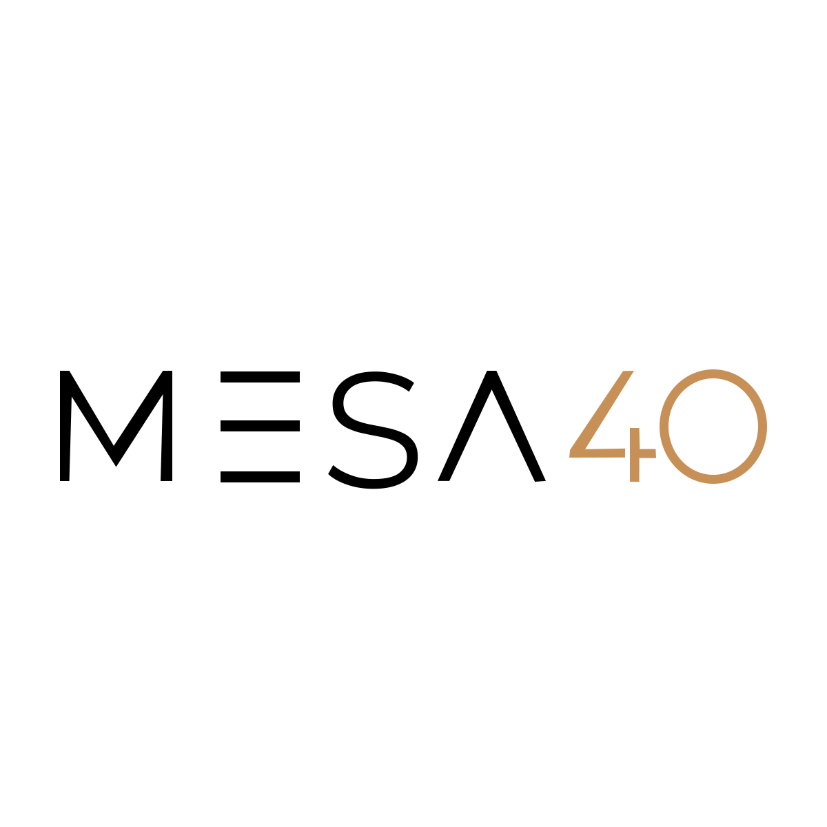 Mesa40